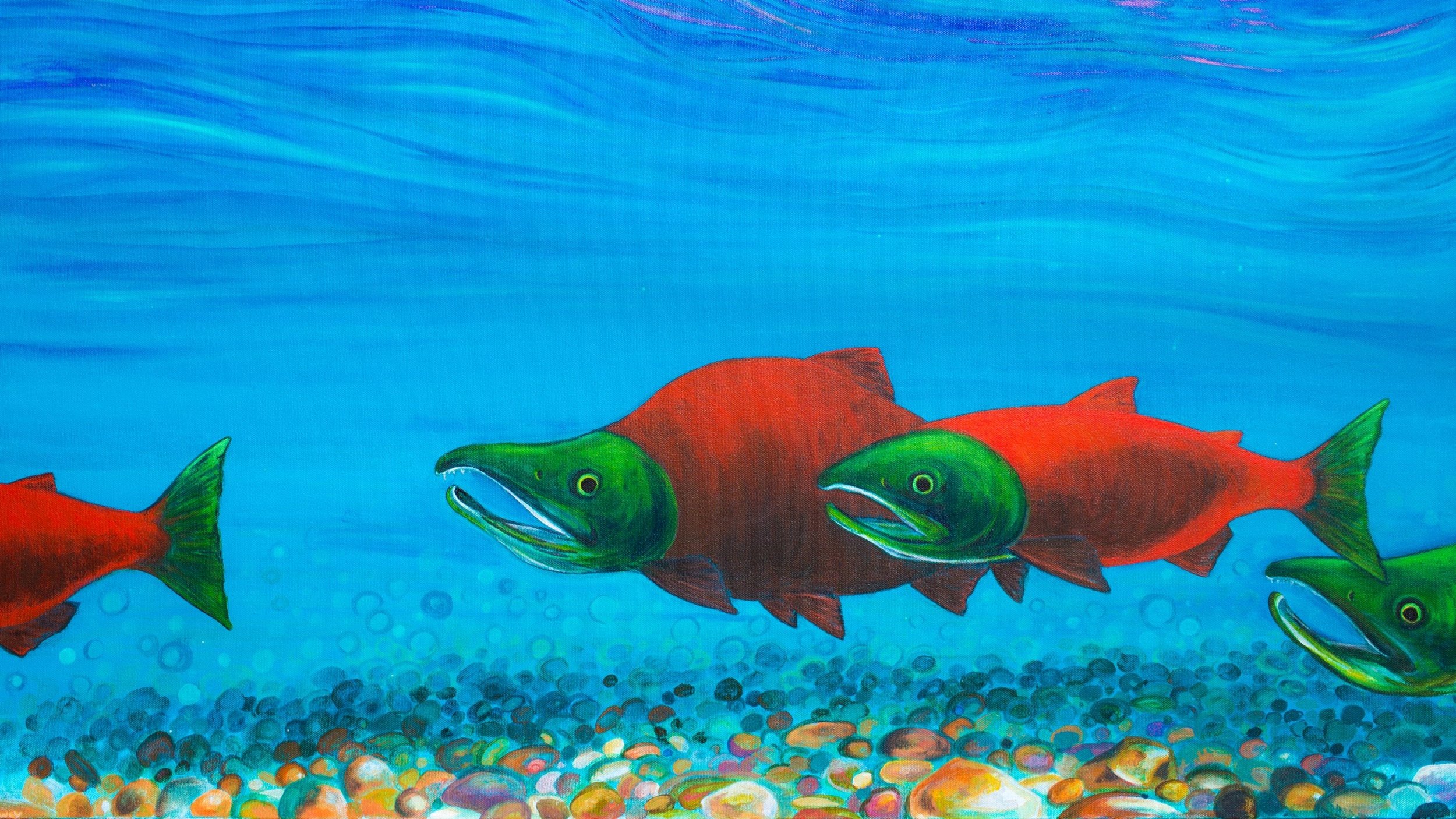 Sockeye